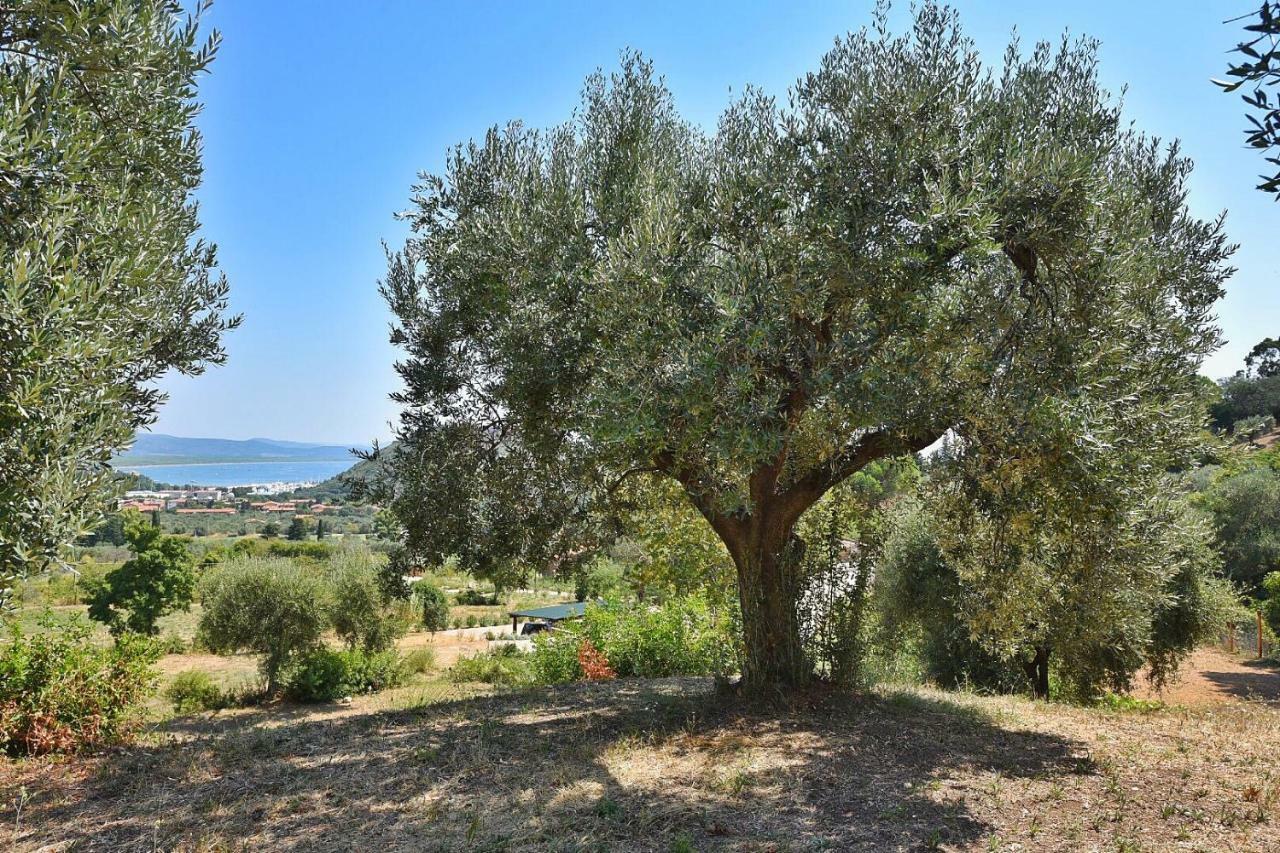 Villa Il Molino Porto Ercole  Exterior foto